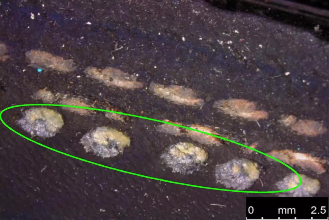 徕卡leica生物显微镜dm1000,汽车零部件外观检测