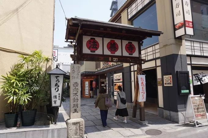 日本的樱花又开了哦,日本樱花又开了是什么梗