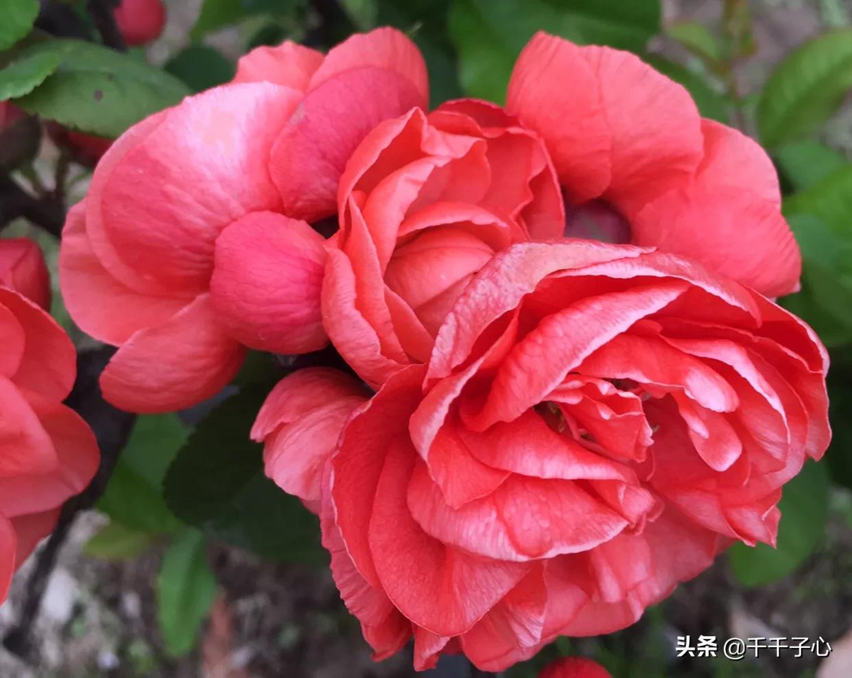 初恋约我见面我要去吗,如果初恋来找你怎么办