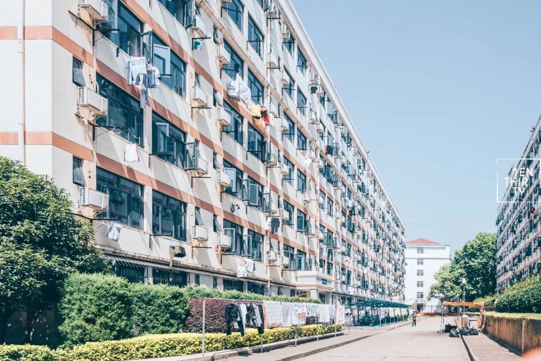 用66张照片回忆2020年,江夏高清图片