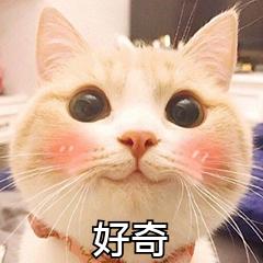 520送小惊喜,520礼物送女友ck包