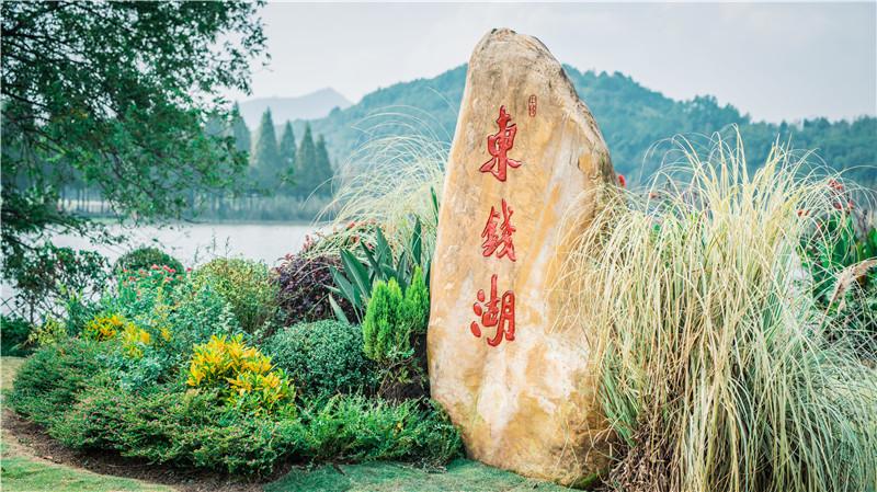 2020现代第七代伊兰特白色,小米社区新品季