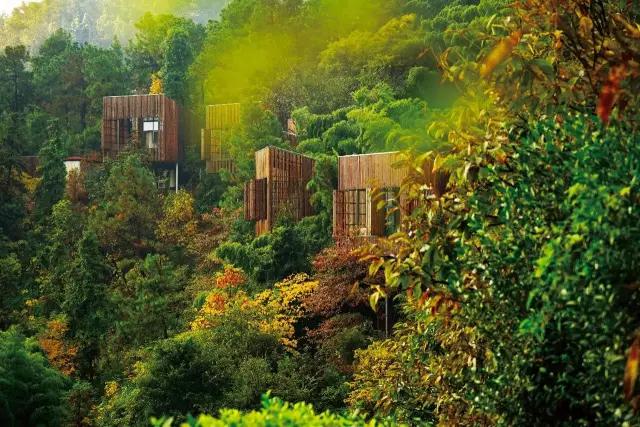 眺云海秘境、西子春晓，每一家都是旅行艺术，带你躺入春天~
