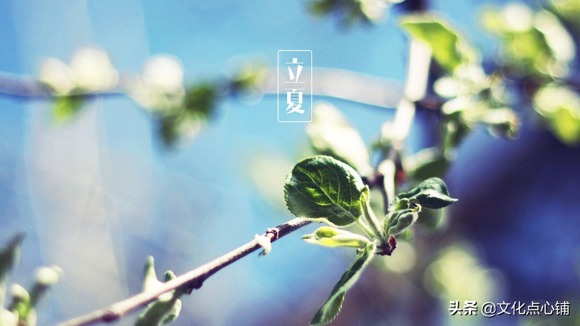 时光荏苒念清欢,岁月静好唯美句子古诗