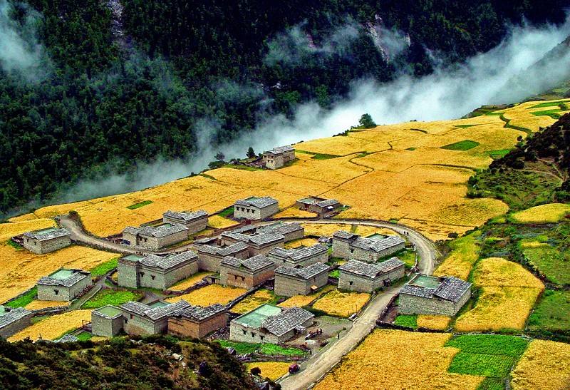 四川平民喝的茶推荐,四川的八大名茶