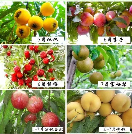 彭山景区活动购票,常德彭山景区游玩攻略图