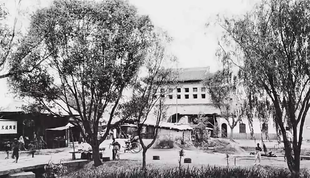 【FENG向】丰台花乡:匠人匠心,八百年打造京城里的″花花世界″