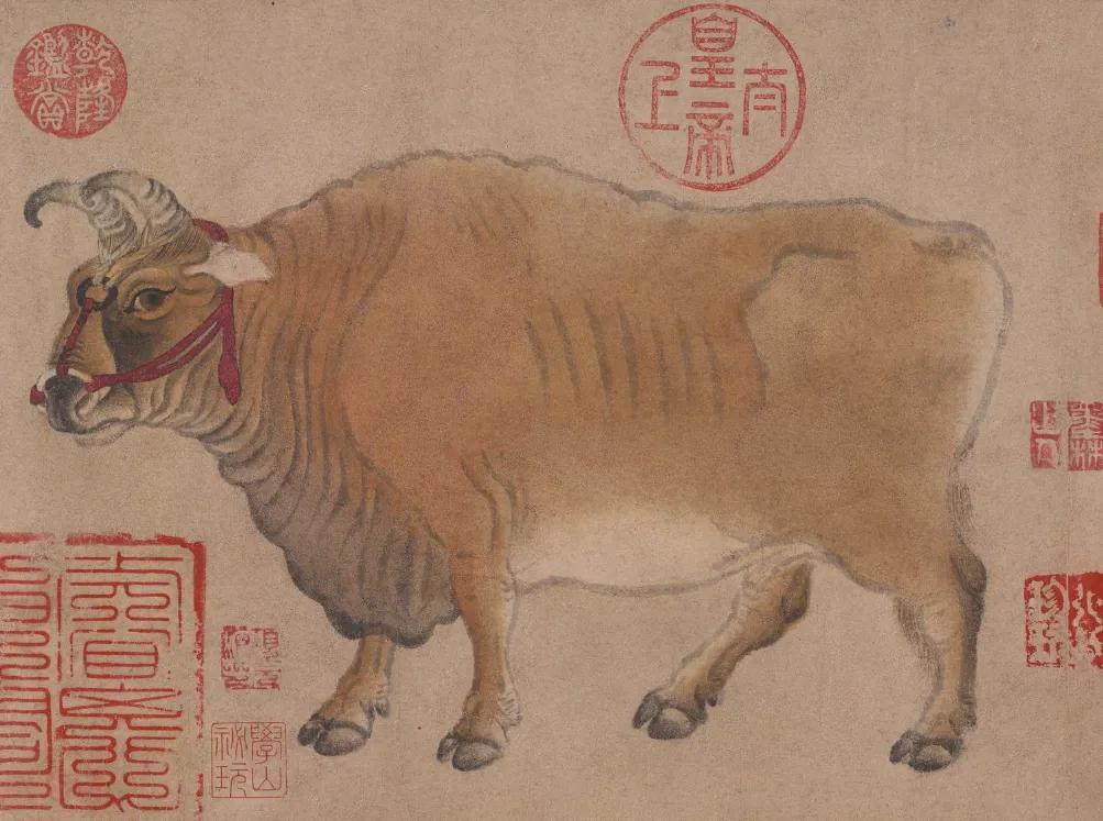 老济宁谚语,济宁老方言视频