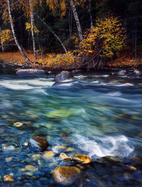 阿勒泰秋天有多美,秋天的新疆阿勒泰太美