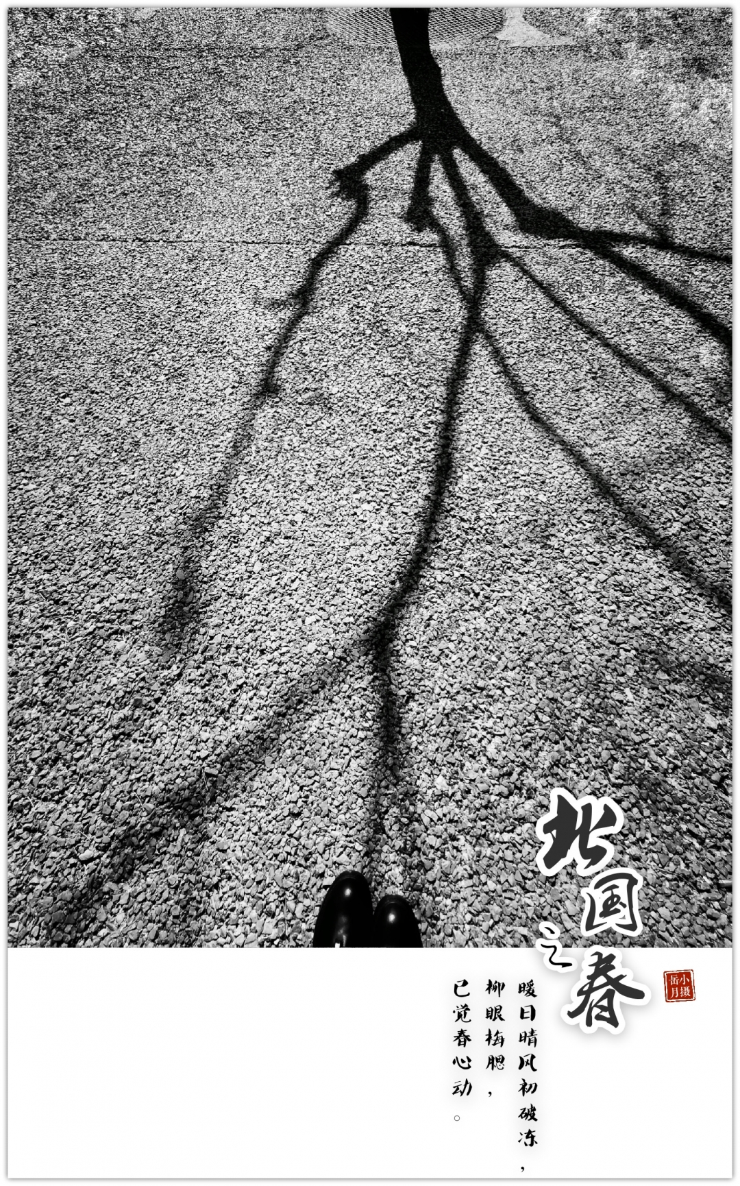 2月专属手机月历壁纸｜一份初春的“温暖”送给你