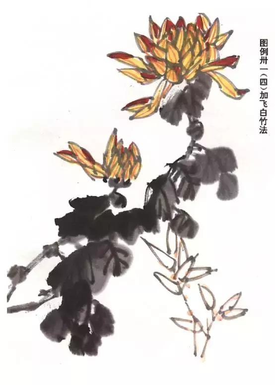 菊花国画入门简单教程,国画菊花画法技法教程