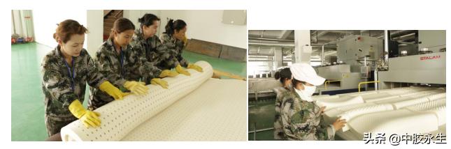 云南中胶永生乳胶,乳胶体验馆西双版纳