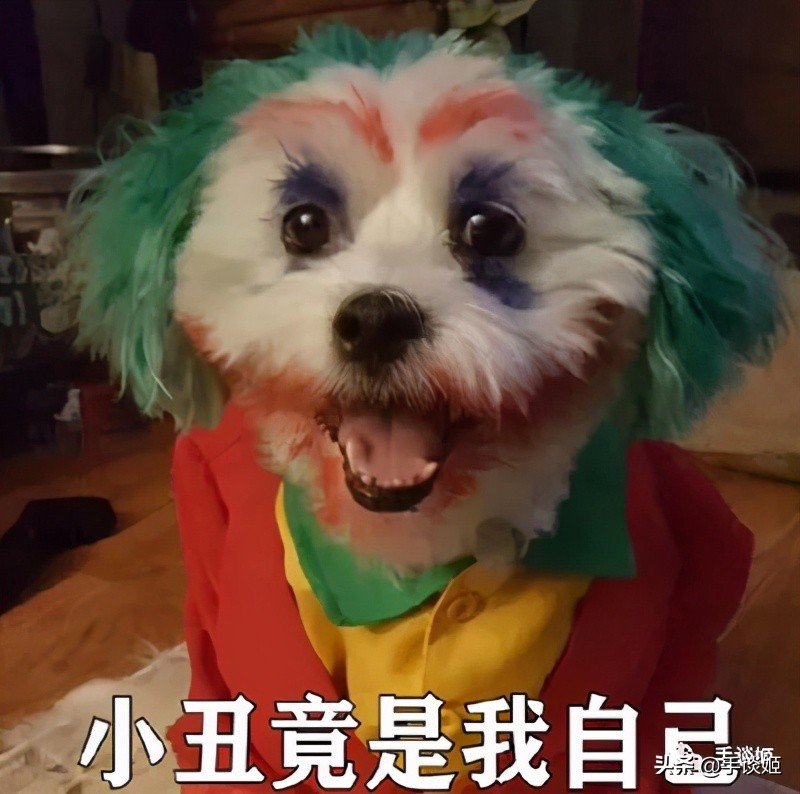 签名、挂横幅，在与“邪恶资本”的较量中，DC粉最终收获了告捷