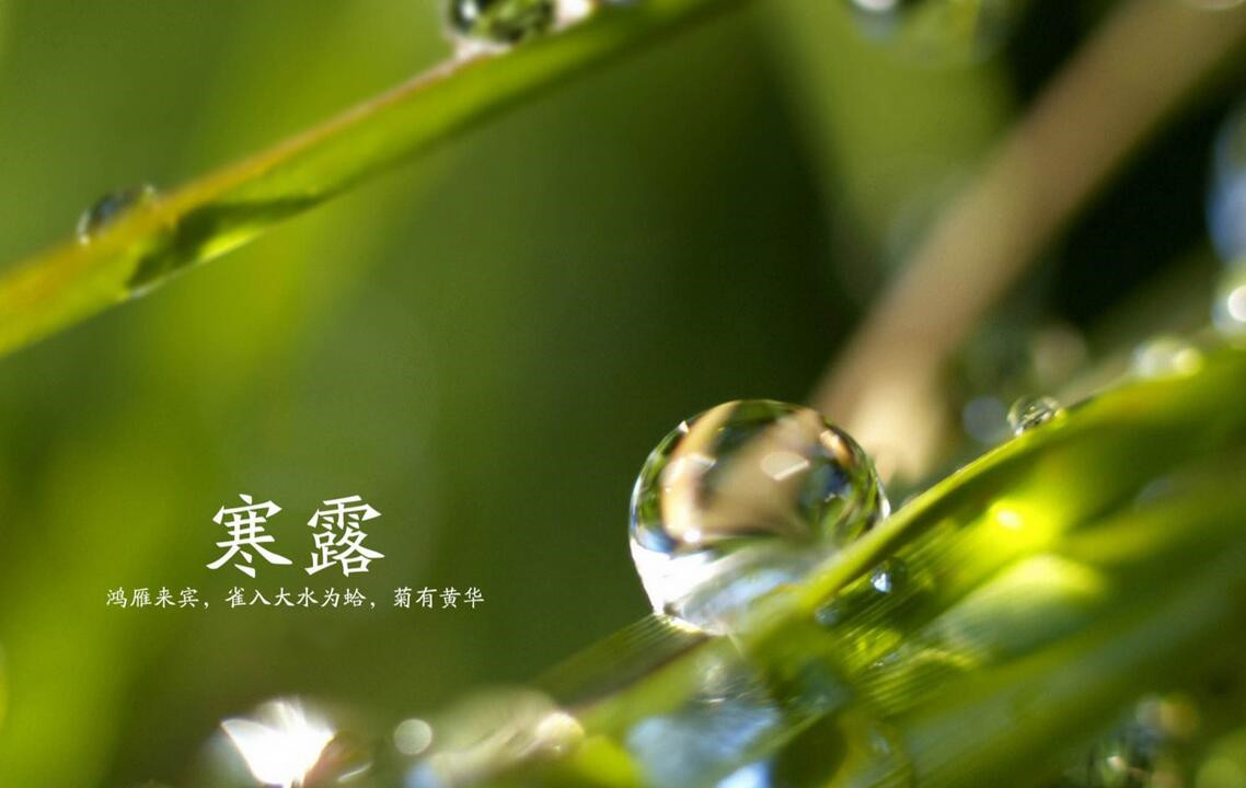 鱼山草堂——寒露，山泉