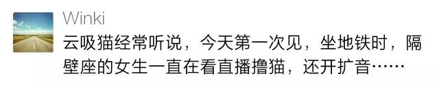 被猫狗咬伤如何正确处理,被猫狗咬伤十天了还能打针吗