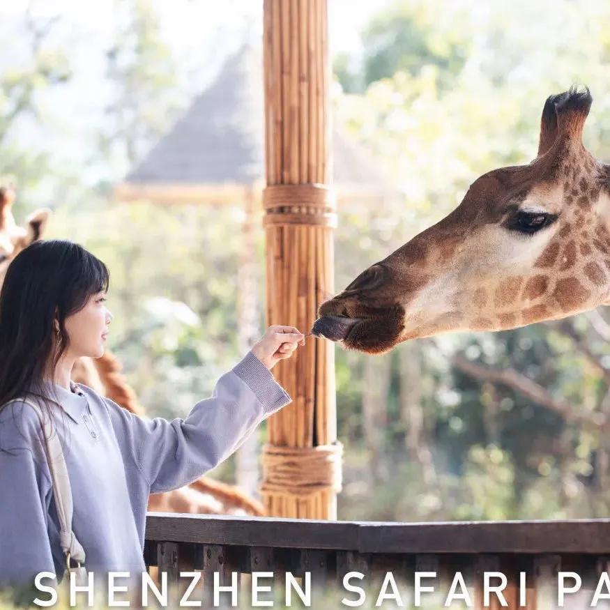 此心安处是吾乡21预告,此心安处是吾乡全季