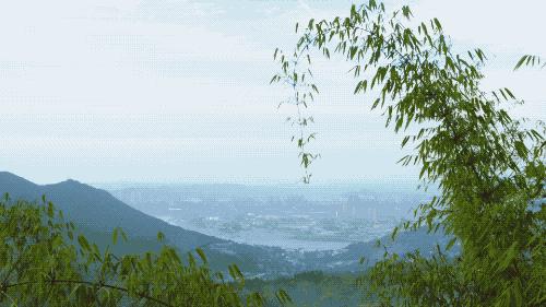 重庆南山区天空之城,重庆南山有天空之城吗