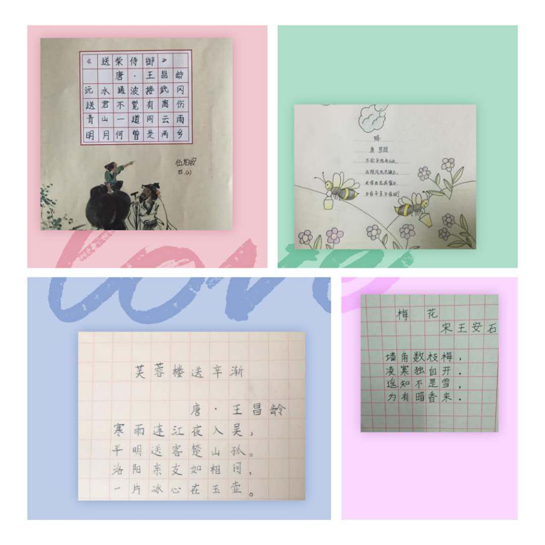 北京市芳城园小学：“项目式学习”战“疫”“延学”变“研学”