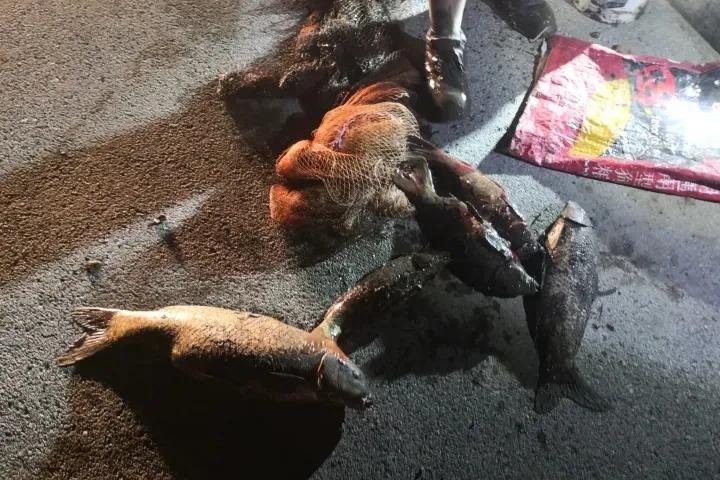 非法捕捞有什么危害,最新非法捕捞立案标准
