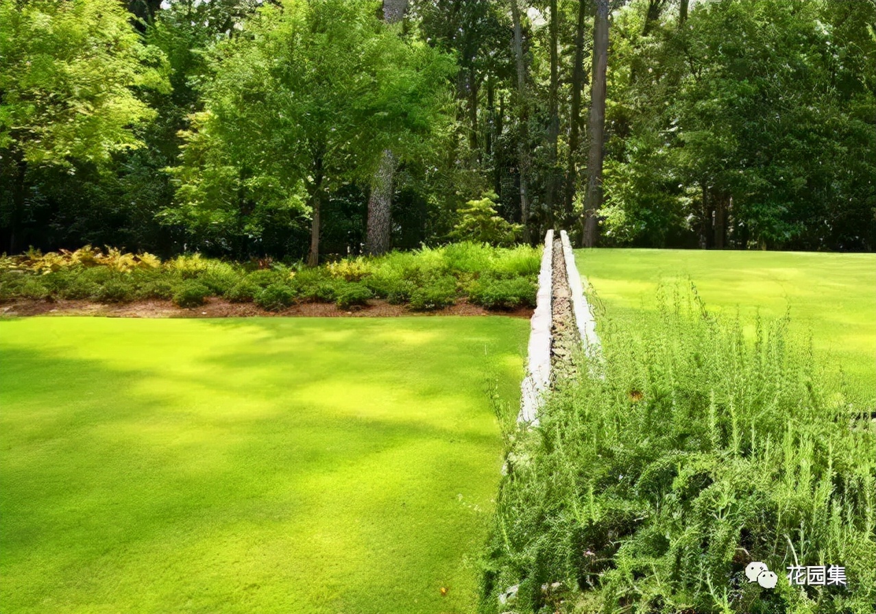 菜地积水最佳排水方法,庭院菜地排水补救方法