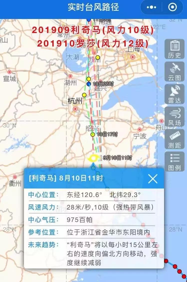 西湖60年大树被连根拔起,西湖大树被淹断电