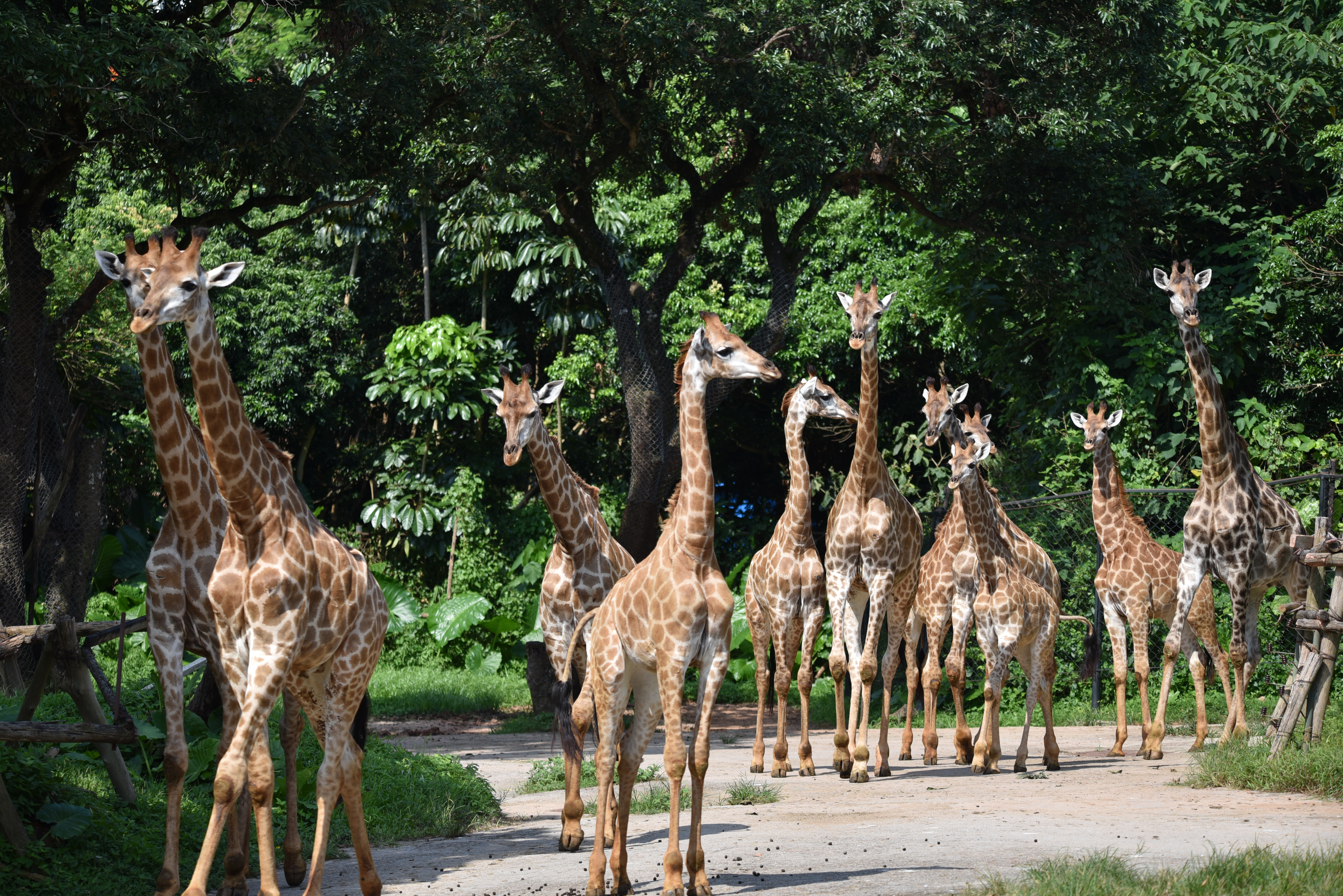 五一旅游必看的10个项目,五一期间有十大景区最受欢迎