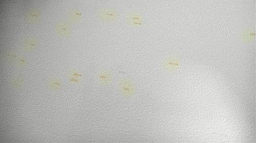 怎么样处理室内的霉菌墙,墙面潮湿发霉的原因及除菌方法