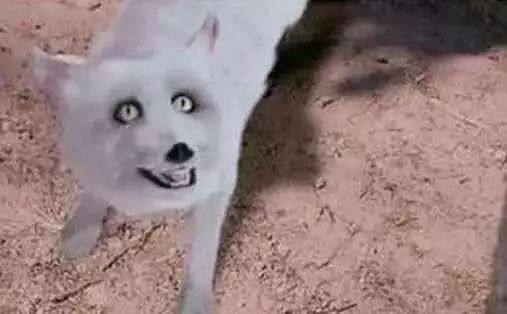 豆瓣评分9.3，4年后观众还在重刷，《琅琊榜》为何能够封神？