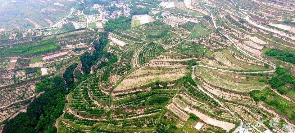 2022年200亿的农业补贴怎么发放,国家先给钱后建设的农业补贴项目