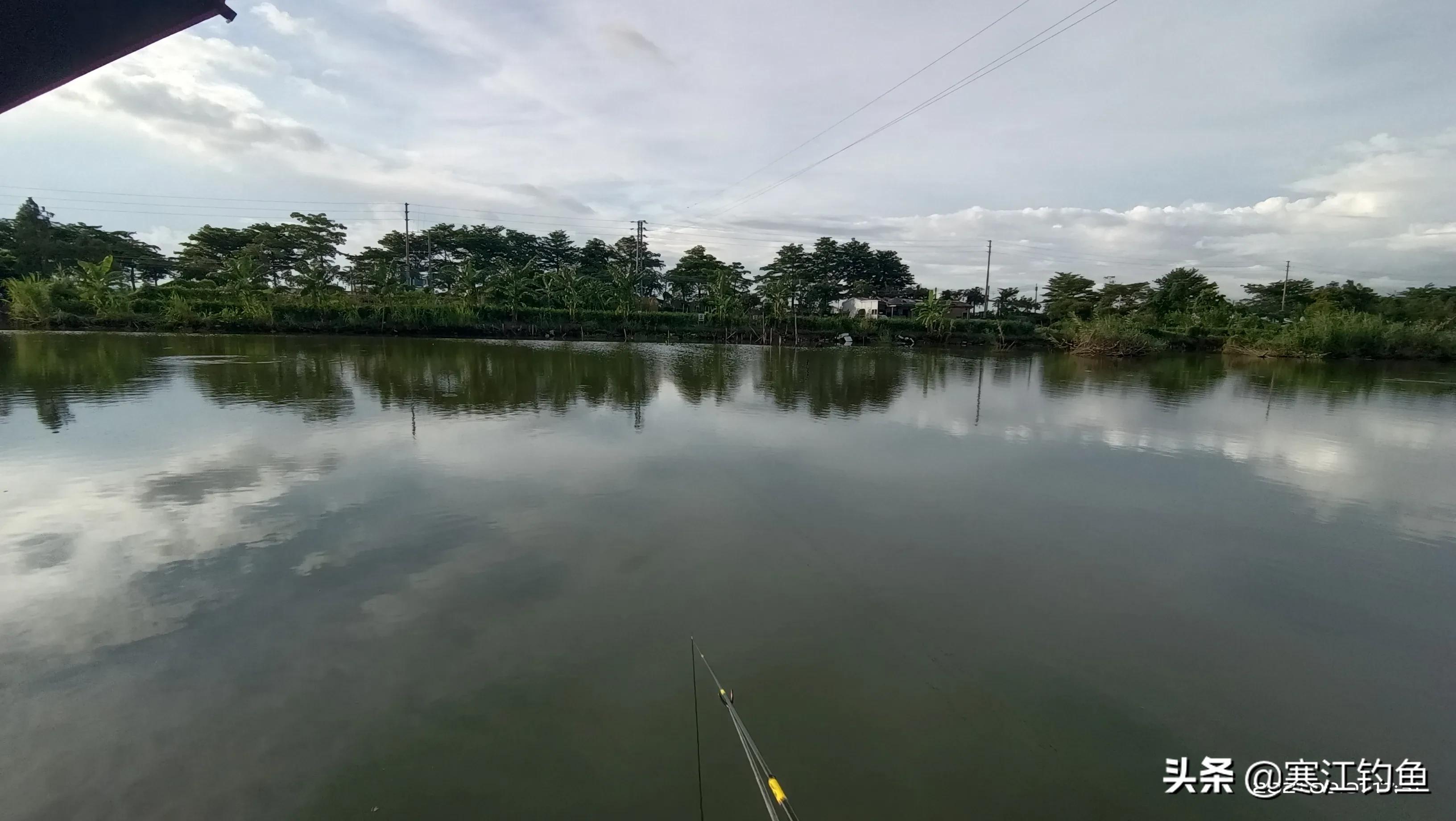 台钓钓到“财鱼”，忆起仙逝的老爷子，不禁潸然泪下