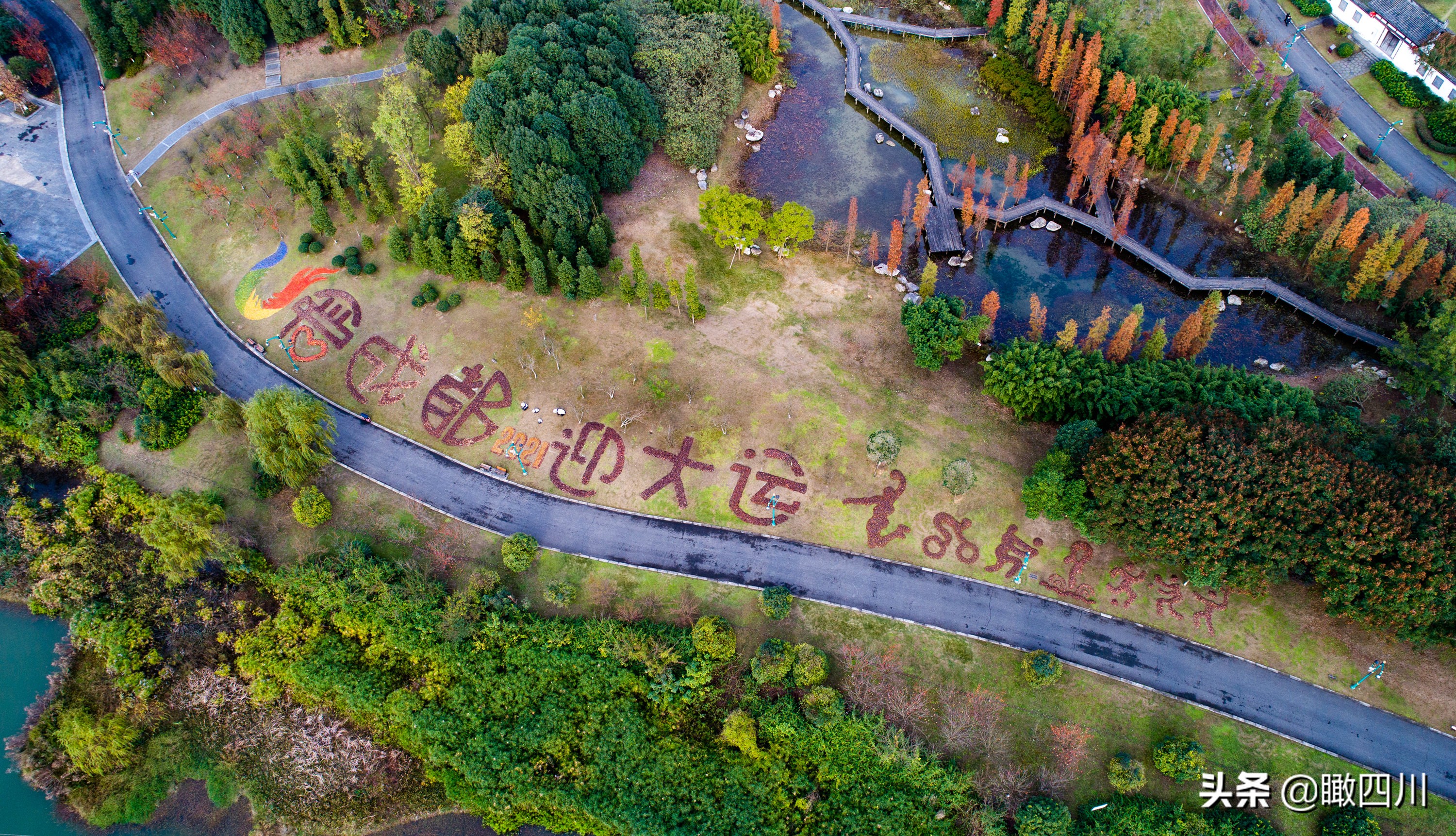 关于环卫工人的绘画作品,环卫工人落叶画