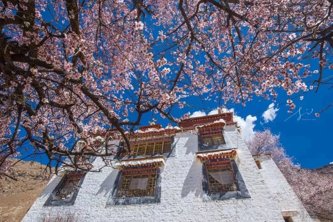 自驾西藏的风景打卡,自驾藏西