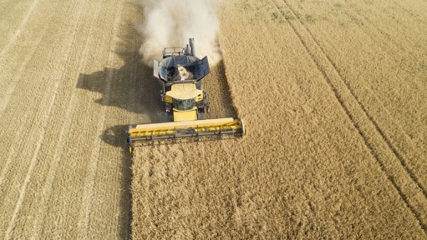 为了中国，澳洲跟美国“翻脸”了！多种农产品出口受阻，这回知道疼了？