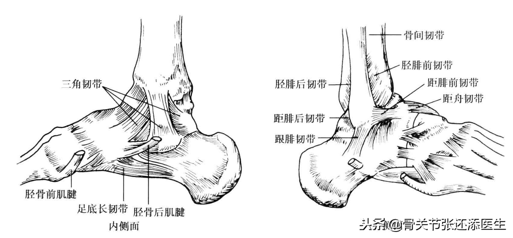 周琦受伤后的状态,体育运动最容易受伤的十个部位