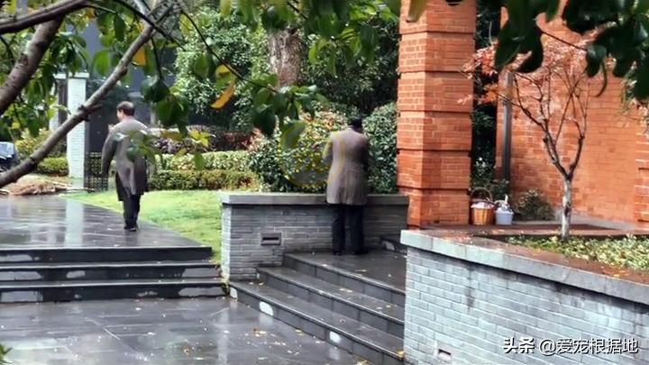 同伴被困空房子，流浪猫向人类求助，获救后它竟主动让出食物