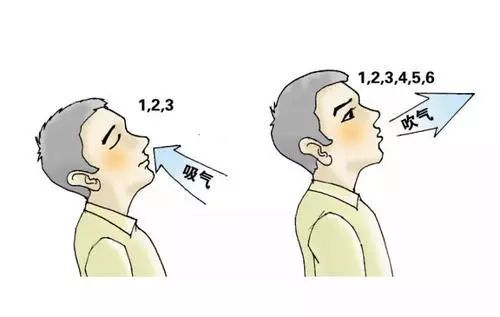 养肺的5个技巧,养肺清肺怎么养