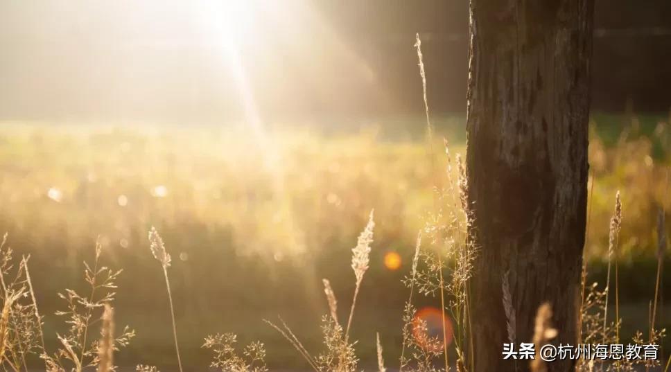 亲子关系疏远的真相,亲子之间的冷漠与关怀