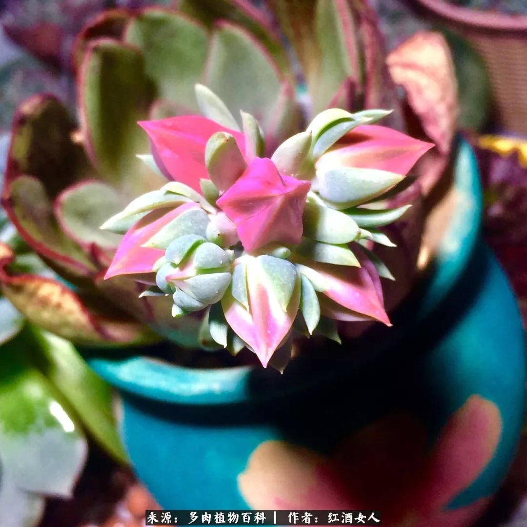 记录走过的美景留下美好的回忆,记录走过的每一段美好时光