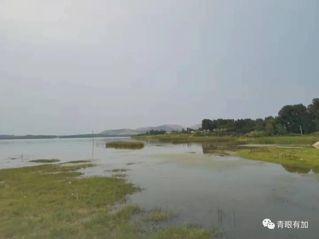 西吴沟村美丽乡村,水乡西吴沟