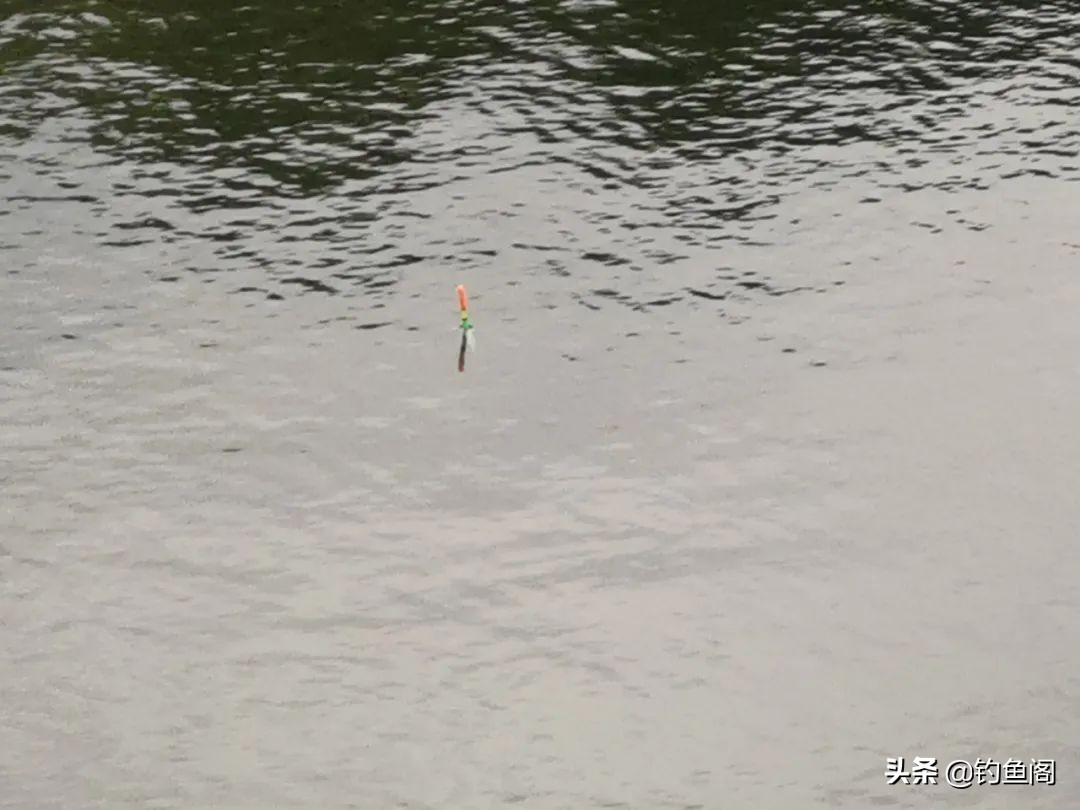 太阳反光看不清浮漂怎样解决,大风大浪钓不到大鱼