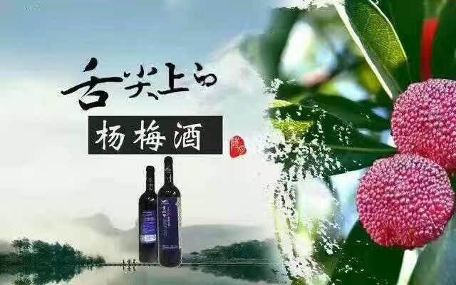 酿杨梅酒用冰糖发酵,杨梅酒发酵全过程
