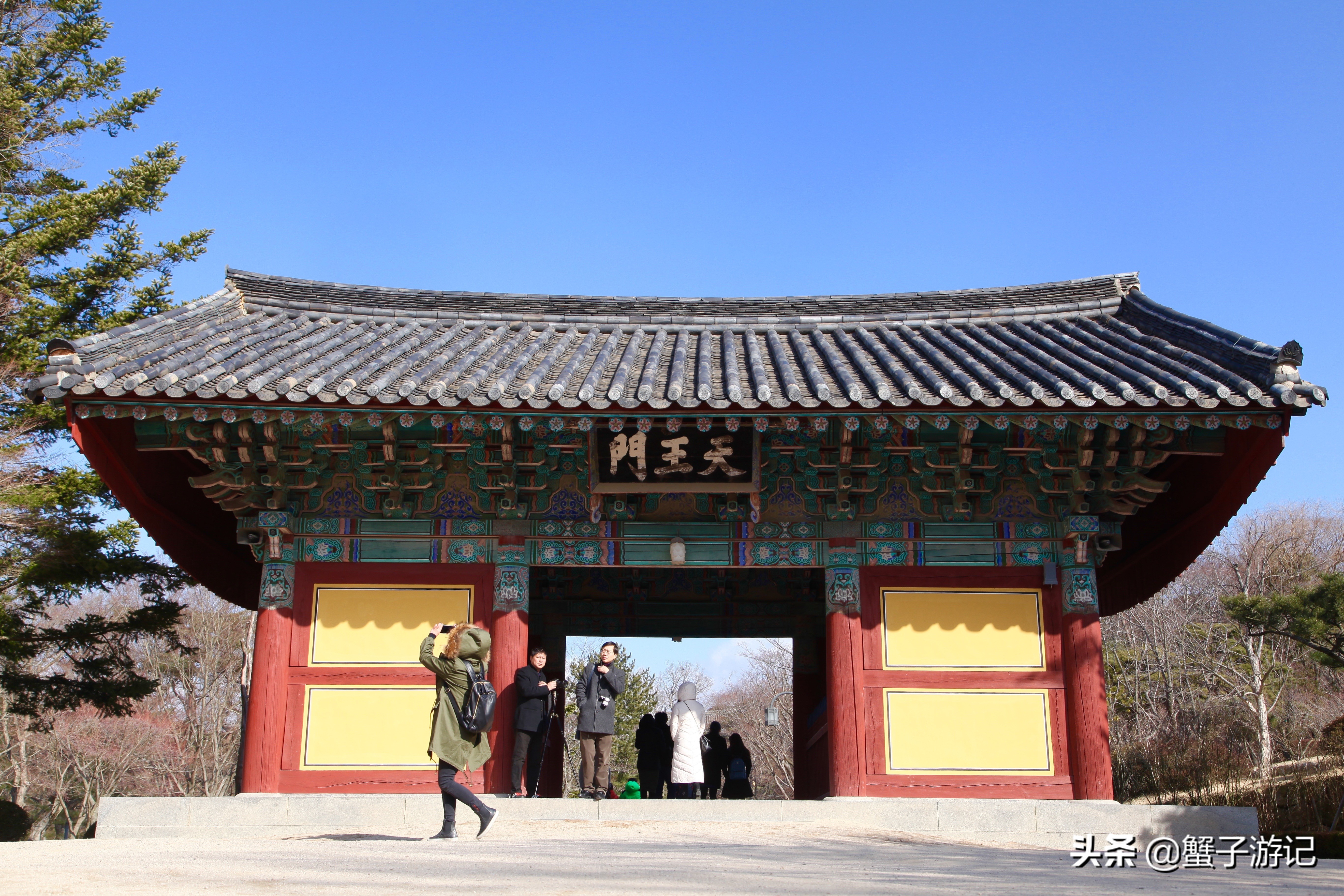 这里是疫情期间韩国的重度区，但它至今仍美丽仍然