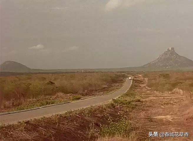 中央车站朵拉,朵拉为什么要见梅子