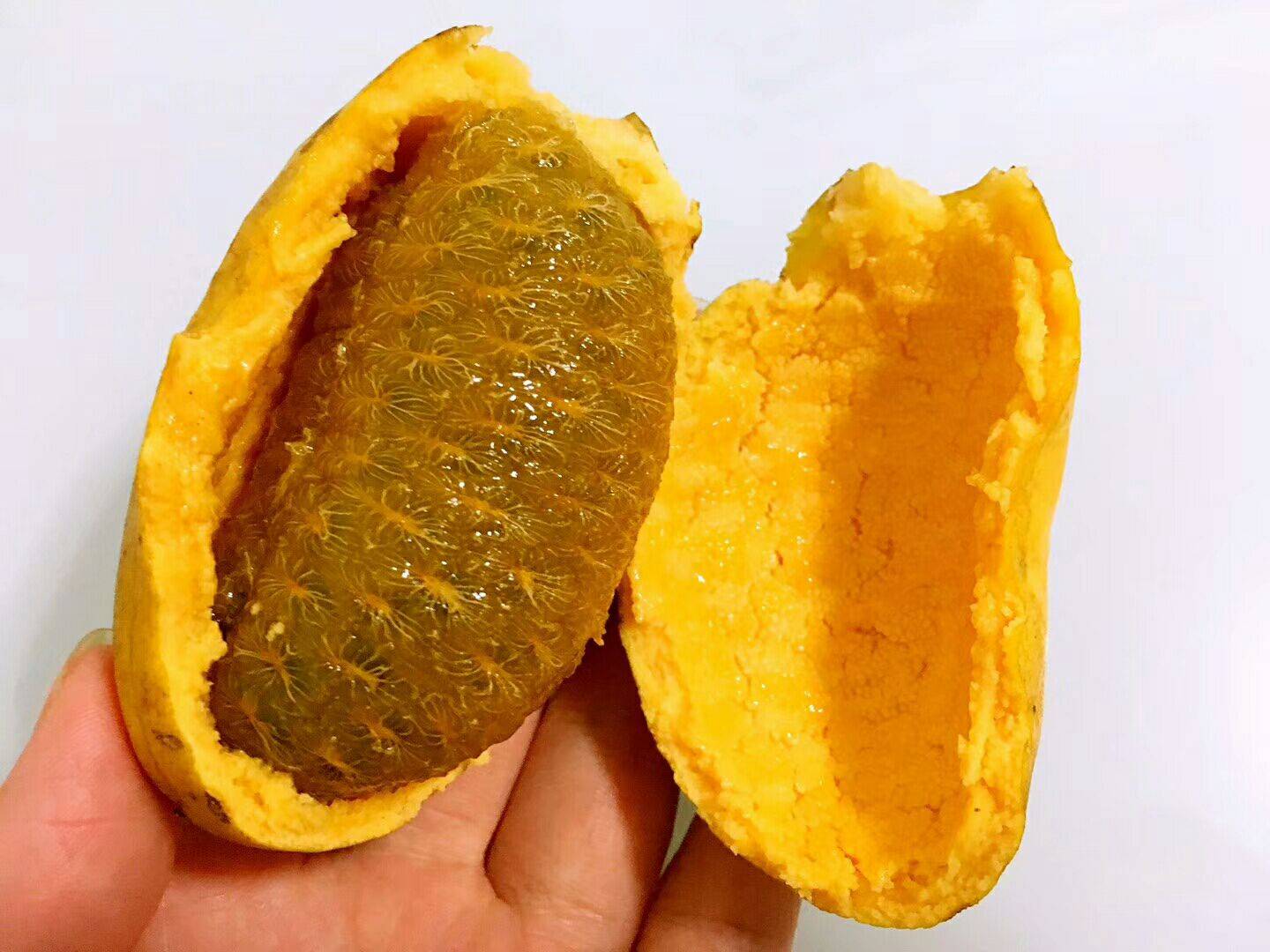 这4种以前不起眼的野果，现农民人工种植，亩收益过万元