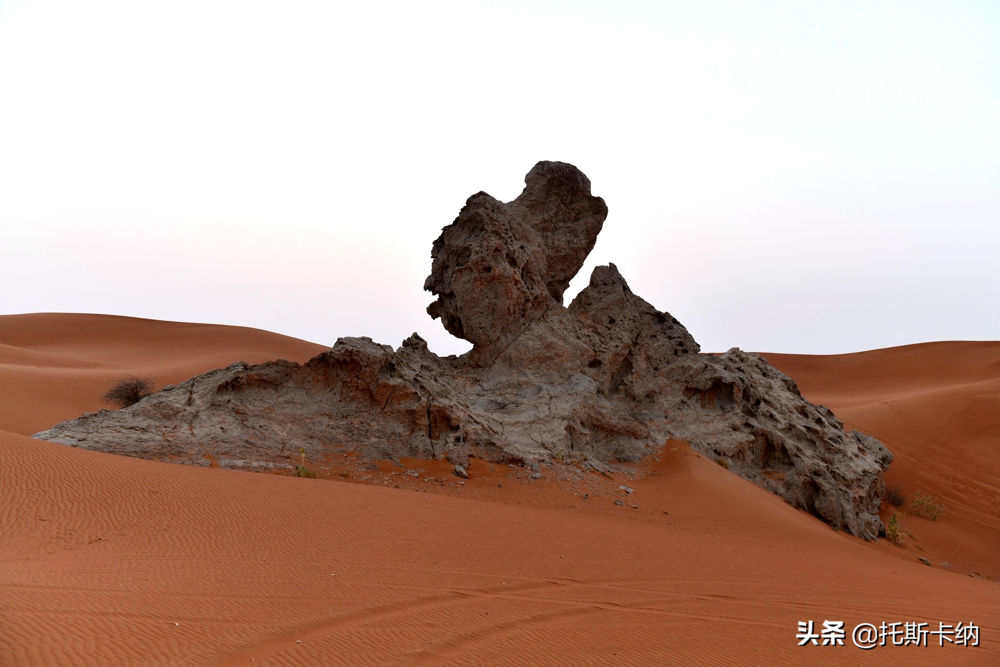 阿联酋沙迦有什么好玩,阿联酋沙迦景点介绍