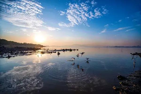 深圳有哪些公园可以免费开放,深圳十大免费主题公园