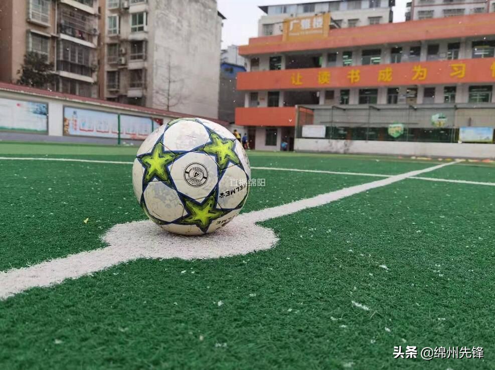 绵阳市涪城区少年宫,绵阳市学校少年宫