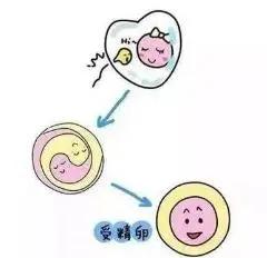 妇科有炎症会导致输卵管堵塞吗,输卵管彻底堵塞能自然受孕吗