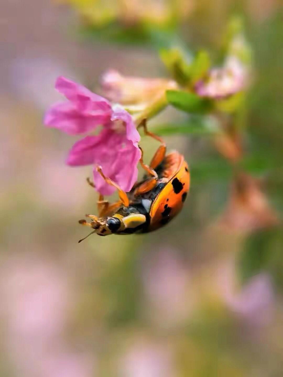 旅行日常vlog,旅行快乐旅行在路上