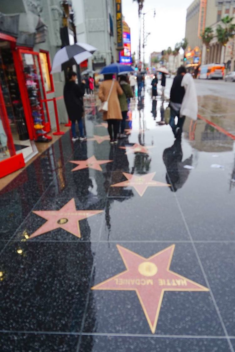 美国德州西部自由行,美国西海岸可以自由航行么